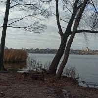 Вид на правый берег :: Gen Vel