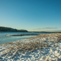 Озеро Съезжее, Хвойнинский муниципальный округ :: Александр Филатов