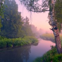Берёзовые пряди  ... :: Roman Lunin