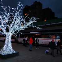 Прочее вокруг нас :-) :: Андрей Лукьянов