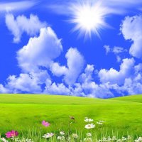 Незабываемый июль ! :: Валерий Кокорев