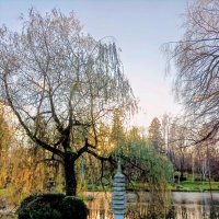 В Японском саду :: Veera V В Японском саду :: Veera V