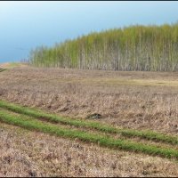 Туман над Волгой :: **** vedin Туман над Волгой :: **** vedin