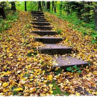 Лестница в осень :: VasiLina *