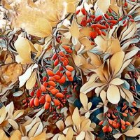 Осенняя картинка :: VasiLina *