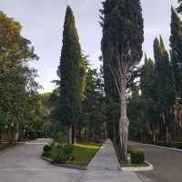 Ноябрь :: Tata Wolf