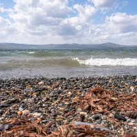 ,,, :: Сергей Яковлев