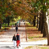 Отдыхв парке :: Валентин Семчишин