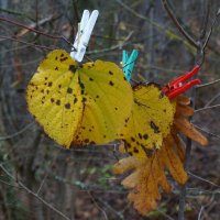 ! ;) :: Вен Гъновски