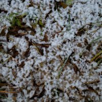 Первый снег на земле :: Александр Синдерёв Первый снег на земле :: Александр Синдерёв