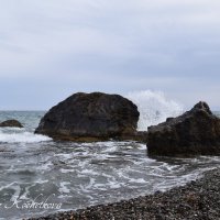 Природа Крыма :: Amazing Cosmea