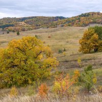 Очарование осени :: Наталья Димова