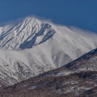 ... :: Жора Житников