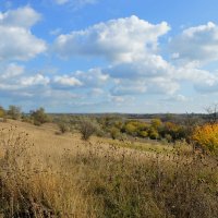 Слились горизонты с небесной границей... :: Надежда Куркина 