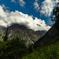 ИЛЬ АЛАТАУССКИЙ ПРИРОДНЫЙ ПАРК :: HART BAD