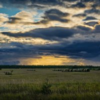 "Пронизывающий свет заката в сентябре"© :: Владимир Макаров