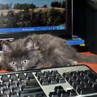 Когда был Тоша маленьким... :: Алексей Бубнов