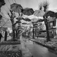 б.н :: Николай 