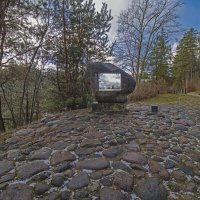 б/н :: Николай 