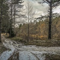 зима :: Александр Иванович Шитов