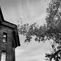 *** :: Яна Горбунова