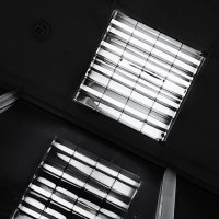 * :: Василий Палий