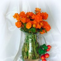 Купальницы букет. :: nadyasilyuk Вознюк