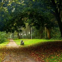 В осеннем парке :: Юрий. Шмаков