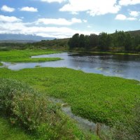 В Национальном парке Бонтебок, ЮАР. :: unix (Илья Утропов)