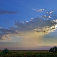 летний дождь :: Всеволод 