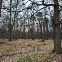 Ноябрь без прикрас :: Андрей Лукьянов Ноябрь без прикрас :: Андрей Лукьянов