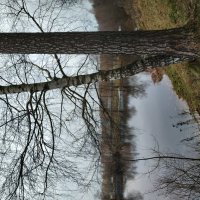 Ноябрь как он есть :: Андрей Лукьянов