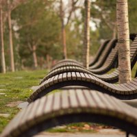 Релакс. :: Юрий Полторыхин.