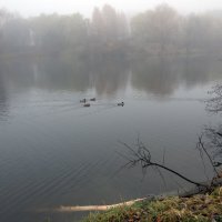 *** :: Владимир Безбородов *** :: Владимир Безбородов