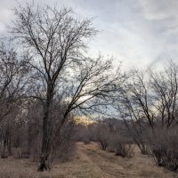 Ноябрь :: Андрей Хлопонин Ноябрь :: Андрей Хлопонин