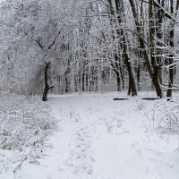 Предзимье. :: Милешкин Владимир Алексеевич Предзимье. :: Милешкин Владимир Алексеевич