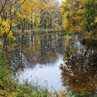 Ноябрьский пейзаж :: Рита Симонова