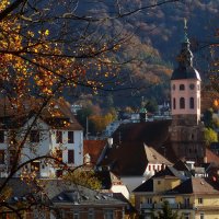 Утро в Баден-Бадене :: Юрий. Шмаков