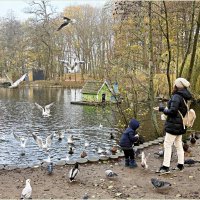 Утро у пруда. :: Валерия Комова