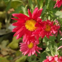 Вспоминая октябрь.. :: Андрей Заломленков