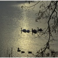 настало времечко... :: Aleksandr Gal