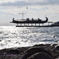 Природа Крыма :: Amazing Cosmea Природа Крыма :: Amazing Cosmea