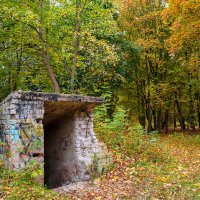 Руины в осеннем пейзаже :: Александр Синдерёв