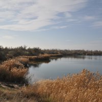 **** :: Виктор **** :: Виктор