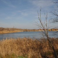 **** :: Виктор **** :: Виктор