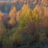 Сходненская чаша :: Елена 