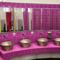 Розовая головомойка по прозвищу Фламинго,,,) :: Анатолий Колосов Розовая головомойка по прозвищу Фламинго,,,) :: Анатолий Колосов