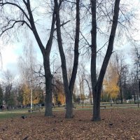 *** :: Валентина Береснева *** :: Валентина Береснева