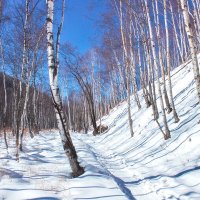 Тёмная падь :: Евгений 
