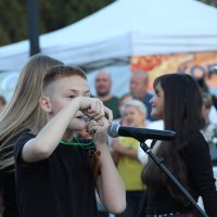 Музыкант. :: Венера Чуйкова